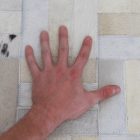 BŐR szőnyeg típus 1 - 170x240
