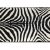 ARWEN zebra mintás szőnyeg