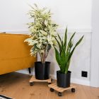 KOSMA görgős virágtartó (2db)