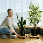 KOSMA görgős virágtartó (2db)