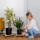 KOSMA görgős virágtartó (2db)