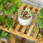 TUSUM többfunkciós polc, virágtartó