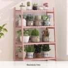 NEPEL TYP4 virágállvány - rózsaszín